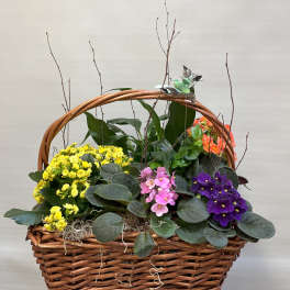 Wicker basket planter with colorful flowering plants and bare twigs