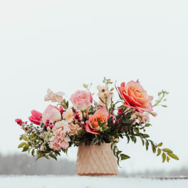 Low peach and pink rose arrangement in a textured cream ceramic pot against a snowy background