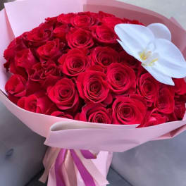 Bouquet of red roses with a white orchid accent in pink wrapping