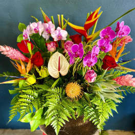 Large tropical arrangement with orchids, roses, anthurium, protea and birds of paradise in a dark pot