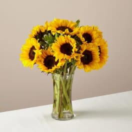 Honey Bee Sunflower