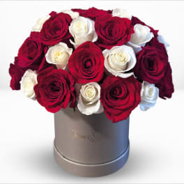 white & red Roses Silver