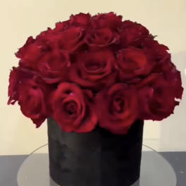 Red roses arranged in a black cylindrical box
