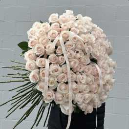 Poma Rosa