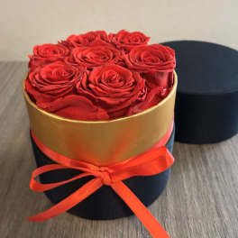 Red roses arranged in a round black box with a gold band and red ribbon