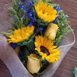 Sapphire and Sunflowers 