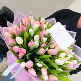 Bouquet of pink and white tulips wrapped in lavender paper