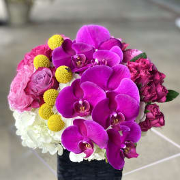 Bright pink orchid and rose arrangement in a black square vase