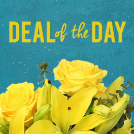 Yellow roses and lilies beneath a "Deal of the Day" sign