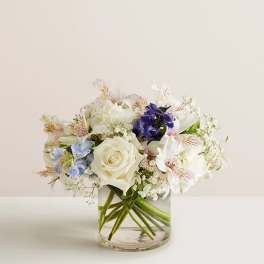 Loving Sentiments Blue & White