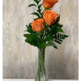 Three orange roses in a clear glass vase