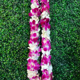 Pink and white orchid lei draped over a black stand