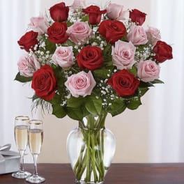 Ultimate Elegance Pink & Red Roses