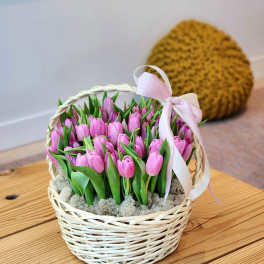 Basket of pink tulips with a pale ribbon bow