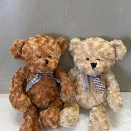Two plush teddy bears with gingham bows sit side by side.
