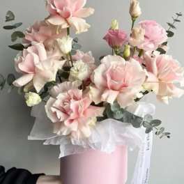 Pink mixed box.