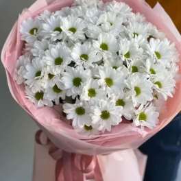White Daisies hand bouquet with wrapping.