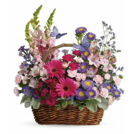 BASKET IN THE PARADISE