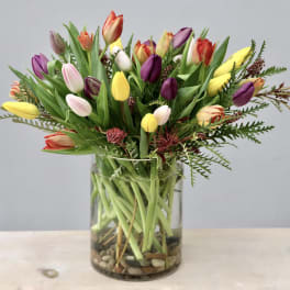Mixed tulips in a clear glass vase with pebbles