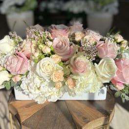 Pink and white roses arranged in a low white container
