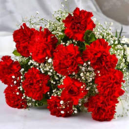 LOVE CARNATIONS 