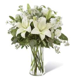 White Wonder