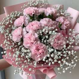 Pink carnations hand bouquet with  babysbreath.