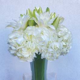 Heaven in a Vase