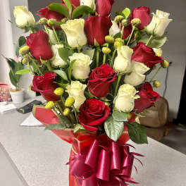 Bouquet of red and white roses in a red gift wrap with ribbon