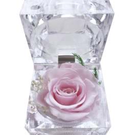 Single pink rose in a clear faceted acrylic holder