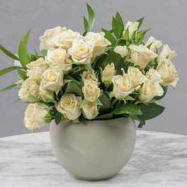 Cream rose bouquet in a round white vase