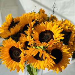 Arrangement of bright yellow sunflowers with dark centers in a tall white vase