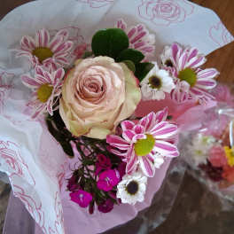 Bouquet with a pale pink rose and pink-striped daisies in pink wrapping