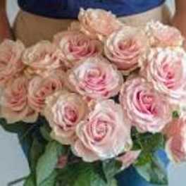Bouquet of pale pink roses held in front of a person