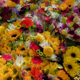Assorted bouquets of bright yellow, red, pink, and white flowers