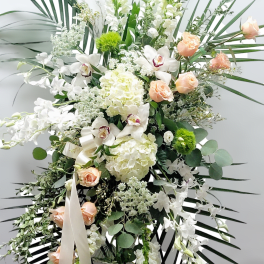 Peach and white