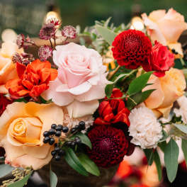 Designer's Choice - Autumnal