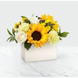 Sunflower and white rose arrangement in a white box