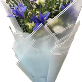 Bouquet of white and blue flowers wrapped in pale blue paper with a blue ribbon