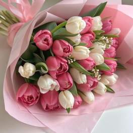 Pink Promise