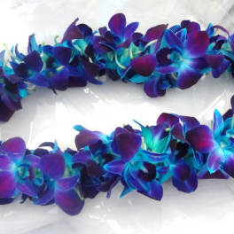 Purple and blue flower lei on a white background