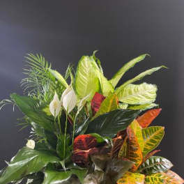 Tropical foliage arrangement with white peace lilies in a basket