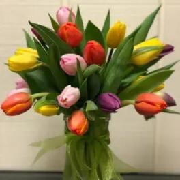 Rainbow tulips