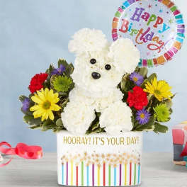 White flower dog arrangement with a birthday balloon in a decorated container