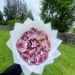 25 Count Carnation Ramos