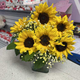 Sunshine Sunflowers
