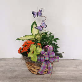 Basket of mixed green plants with orange blooms, purple butterflies, and a plaid bow.