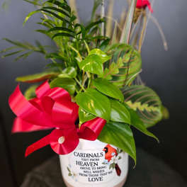 Potted green plant with a red ribbon and memorial cardinal message