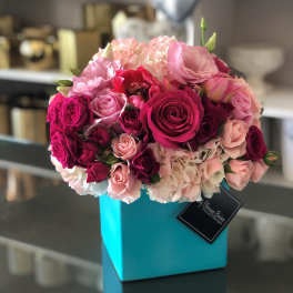 Blush of Love