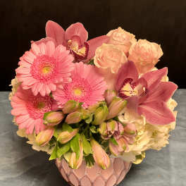Pink Passion